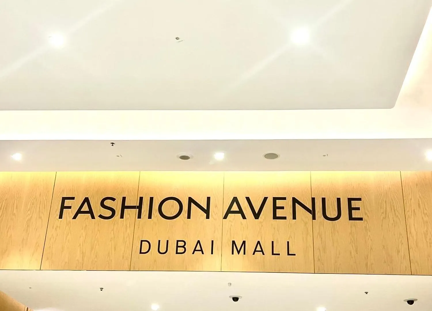 Dubai Mall Direct Access Apartment - Burj Vista